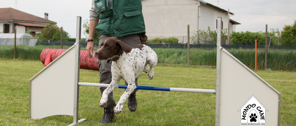 Segnaposto-mc-AGILITY